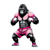 Boxe Boxeur Gorille