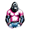Boxing Gorilla Boxer