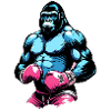 Boxe Boxeur Gorille