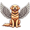 Golden Retriever Angel - blid hund med vinger