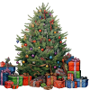 Tannanbaum