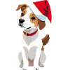 Lucky in Christmas mood