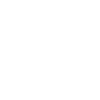 Skifahren Ski