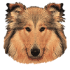hunde tees mädchen, langhaar collie