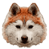 schlittenhunde, Huskykopf wasserfarboptik
