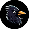 Cartoon blackbird raven looks scowling