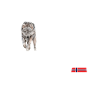 Norwegen mit Wolf