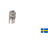 Suède