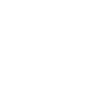 Detektiv