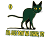 Cat does what it wants