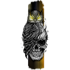 Owl Perched on Skull