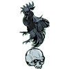 // Angry Rooster