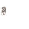 Yukon