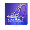 BLUE WHALE