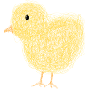 Little cute chick