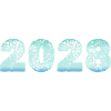 2028
