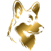 Corgi drawing dog head gold