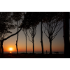 Sunset at the Baltic Sea