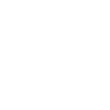 Monkey Animal