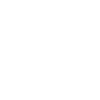 Wolf Animal