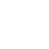 Jellyfish Animal
