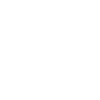 Animal araignée