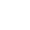 Roe Deer Animal
