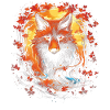 Fantay Fox Magic Fox