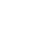 Boxer Boxing Gloves