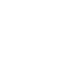Donkey Carriage Coachman
