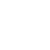 Cocher de calèche