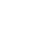 Calèche équitation cocher