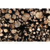 ROUND TIMBER