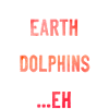 Dolphin The Earth Without Dolphins
