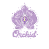 Orchidée, Nature, Plante, Fleur