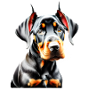 Dobermann Hund Dobermanntrainer Dobermannwelpe