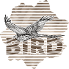 Oiseau