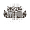 Waschbär