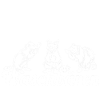Waschbär