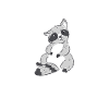 Waschbär