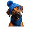 Ridgeback - Baby, it's cold outside!