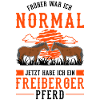 Freiberger Pferd Reiterin
