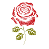 Rose Rouge Goth Cool