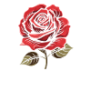 Red Rose Goth Cool