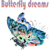 BUTTERFLY DREAMS