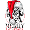 Babbo Natale Bassotto a pelo duro Buon Natale Cane Wilsigns