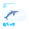 Makohai fact sheet