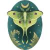 Luna Moth