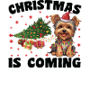 Noël arrive version chien
