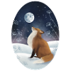 Schneefuchs schaut zum Mond